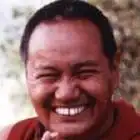 Immagine dell'autore