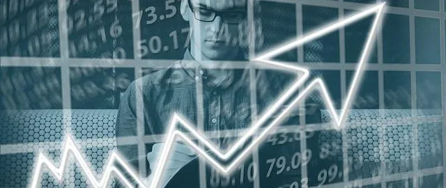 Argomento capitalismo