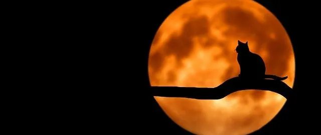 Argomento luna