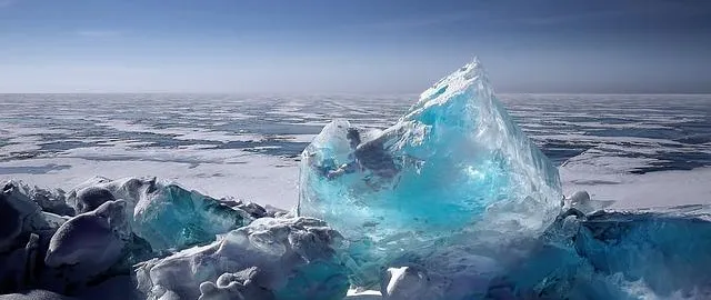 Argomento russia